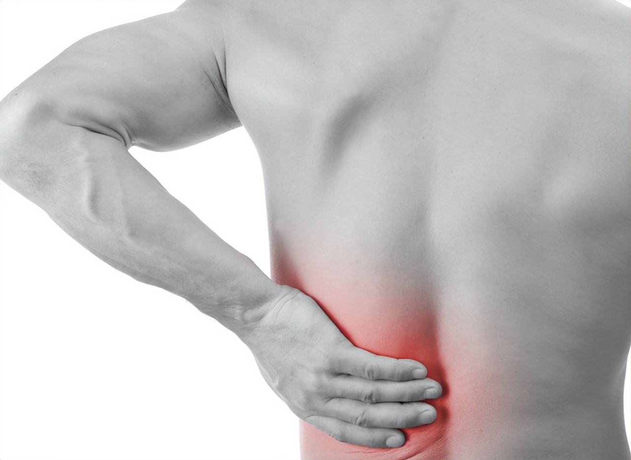 吃腰子补肾有科学依据么,常吃腰子有补肾的效果