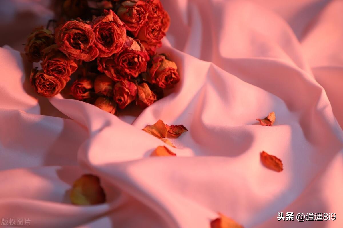 经典收藏520适合表白的文案,520简短走心文案表白男友