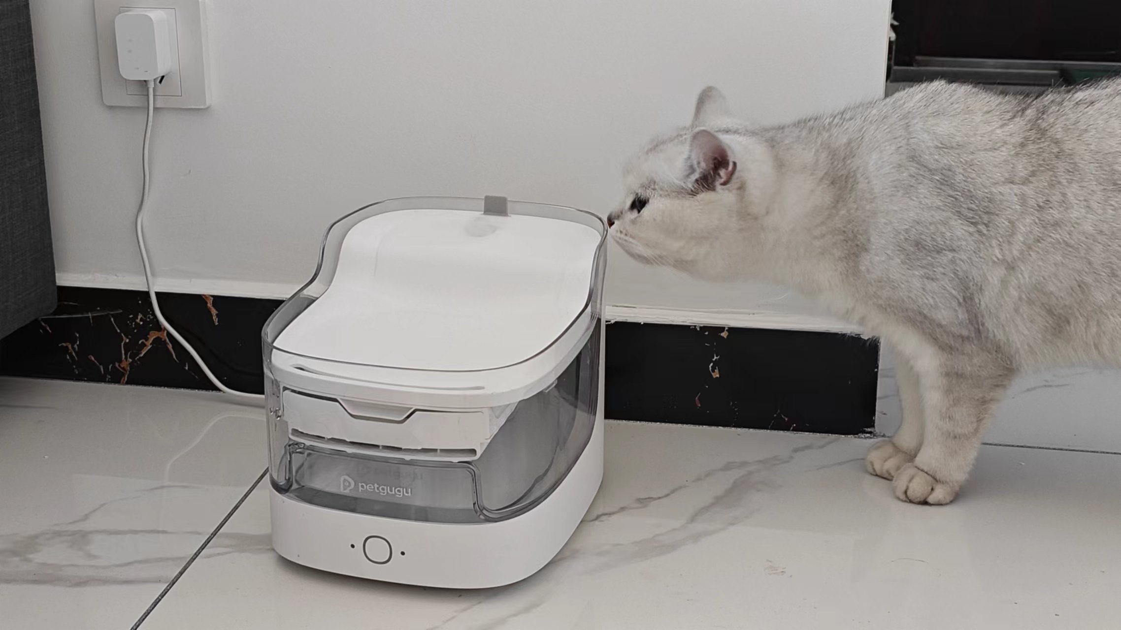 宠咕咕宠物自动饮水器,宠咕咕猫咪饮水机人能喝吗