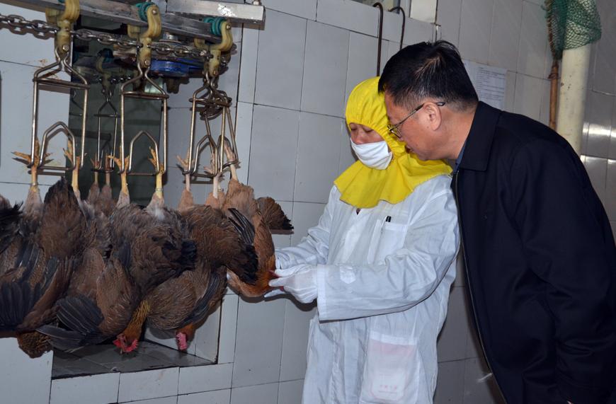 售卖活体家禽需要什么证件,家禽检疫出厂证明是免费开吗