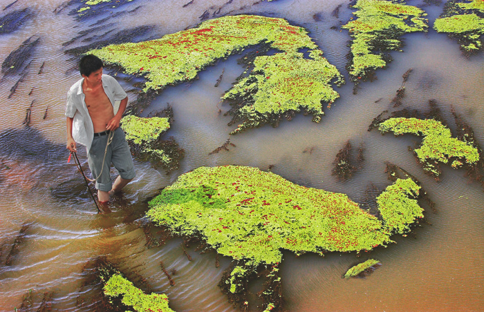 读马语者的感悟,一分钟看懂一幅摄影作品