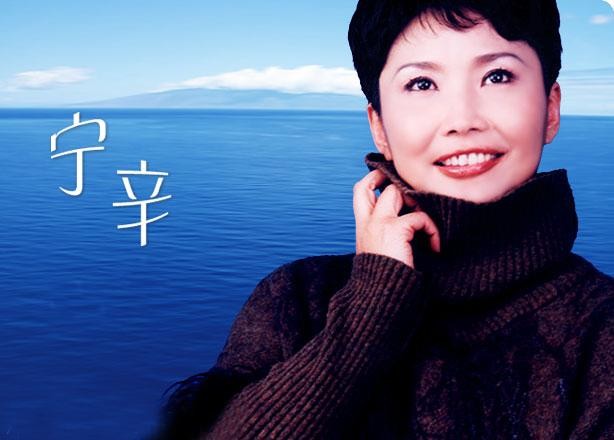 宁辛还在央视吗,主持人宁辛个人简介