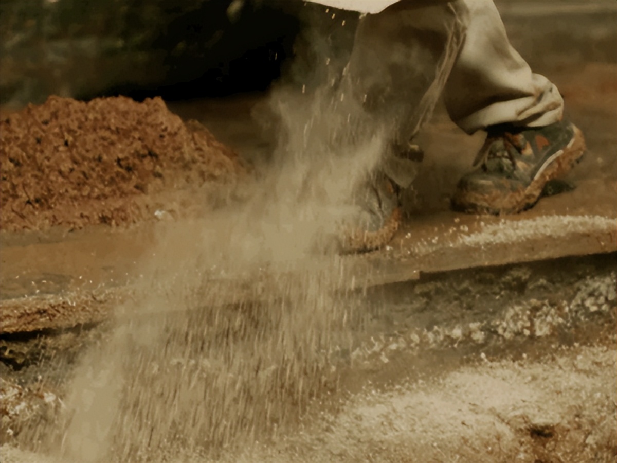 中科院微生物研究所白逢彦,中科院微生物研究所食用菌种