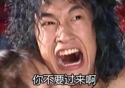 如何观察自家猫的动态,家里的猫怎么知道它的寿命