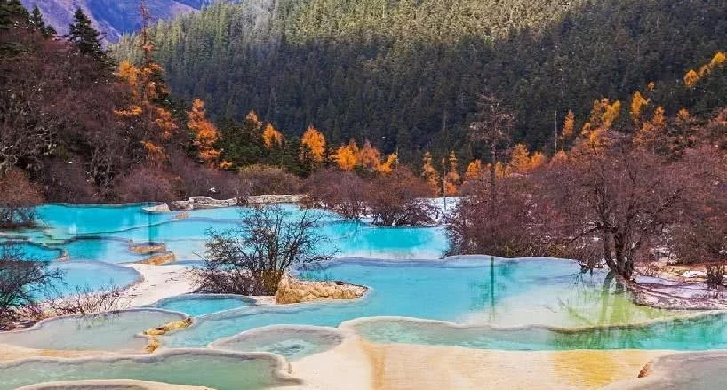 四川成都旅游导游服务,四川成都五日游自由行攻略