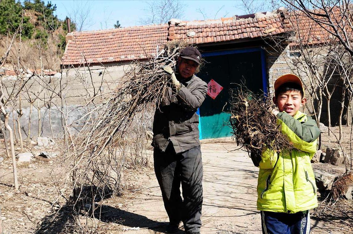 重庆可以办理电信5元老人套餐吗,适合老年人用电信套餐