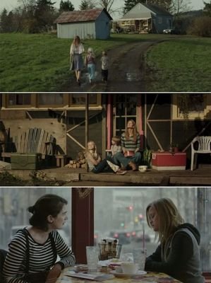 末路狂花：女性反抗与自我解放的社会批判与文化反思