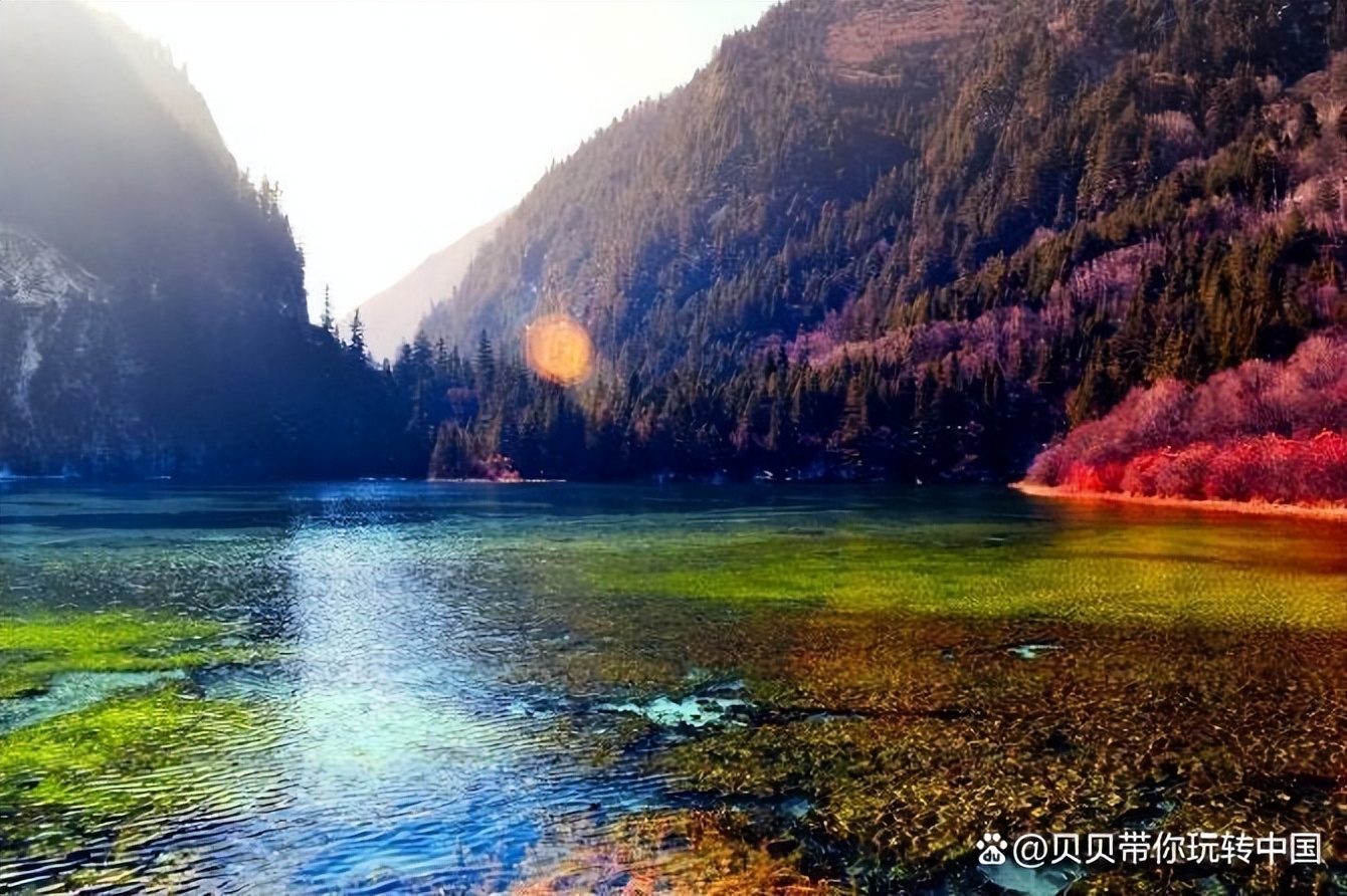 成都旅游3-4天跟团优惠套餐,成都旅游要跟团吗