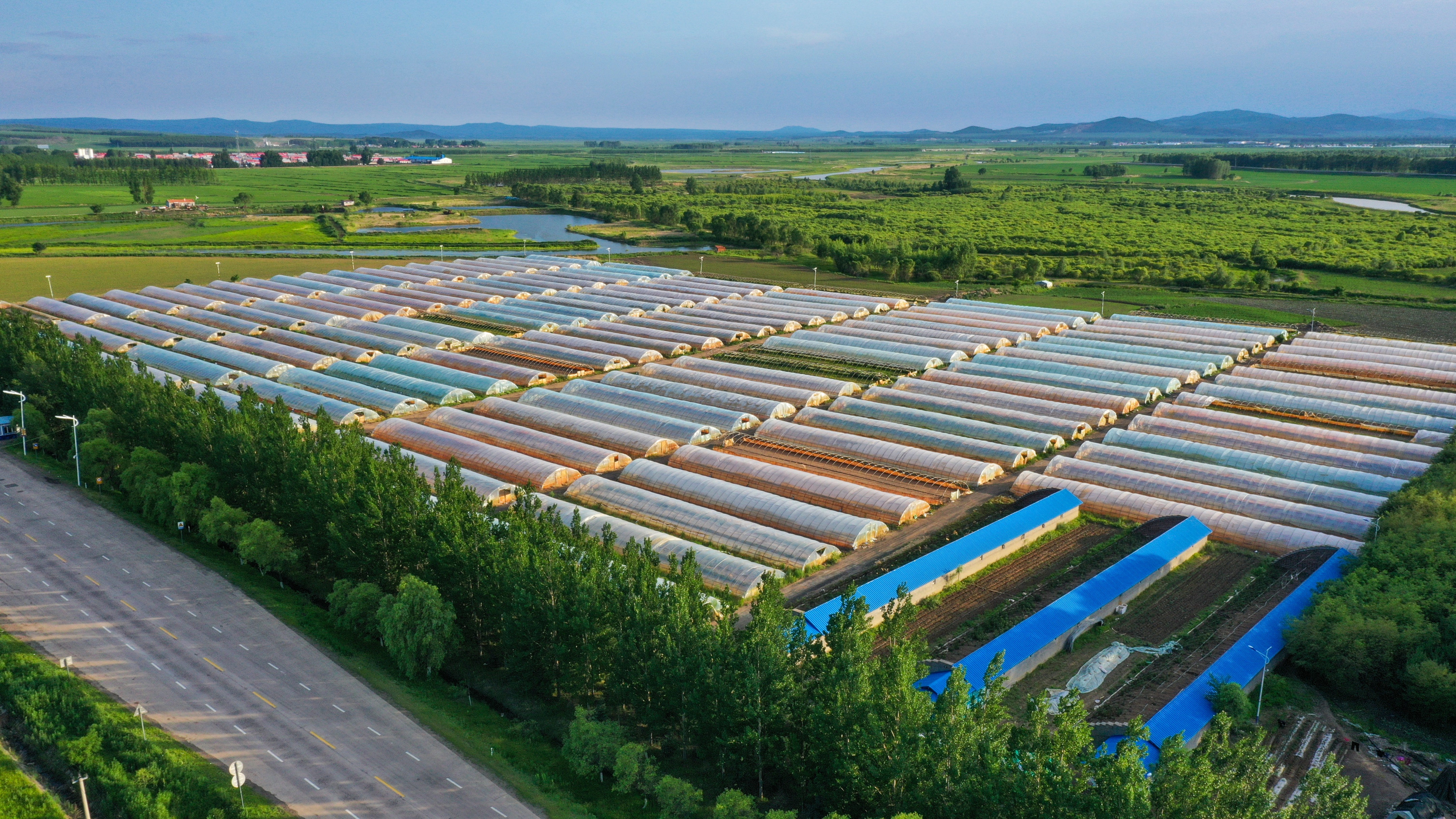 黑龙江宝清县：奋力打造东北样板绘乡村振兴壮美画卷