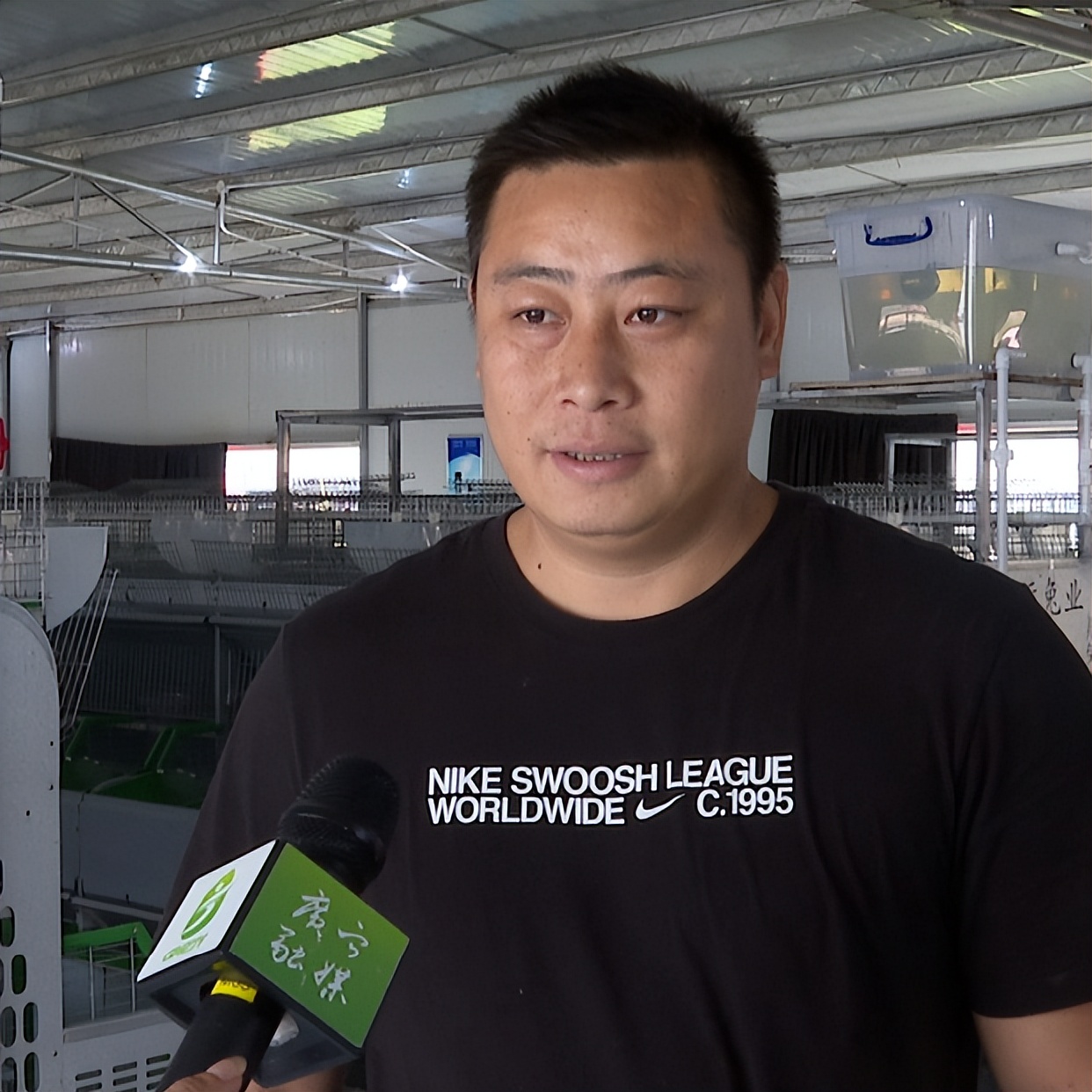 洲仔镇肉兔,小兔子乖乖把门开好运来