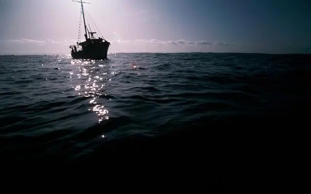 文在寅为中国船员辩护,文在寅给中国船员辩护是真的吗