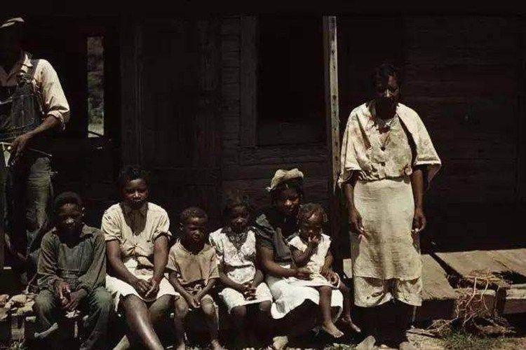 棉布如何导致*国亡**？害惨黑人的为何是印度？