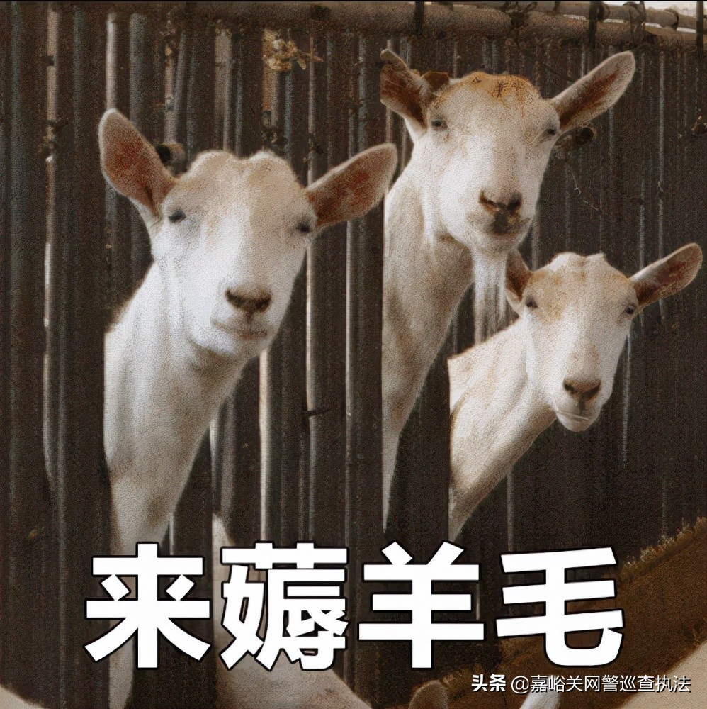 江苏警方打掉一个为“羊毛*党**”提供黑产程序的犯罪团伙