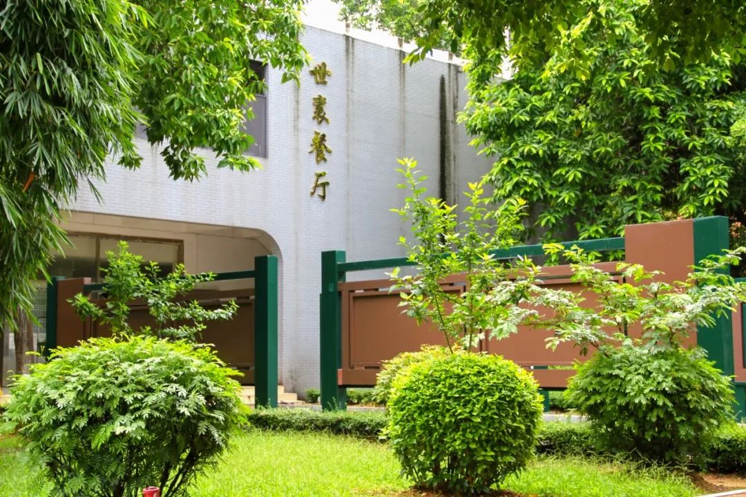 深圳光明高级中学体育场,深圳光明高级中学校队