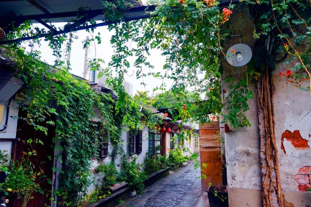 你几月出生就代表了你是什么命,几月出生的人是水命