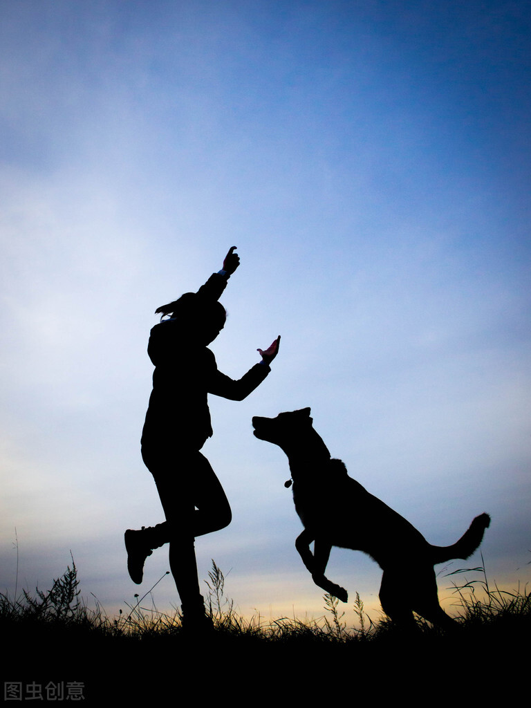 哈士奇被囚禁后续,哈士奇被关在阿拉斯加隔壁