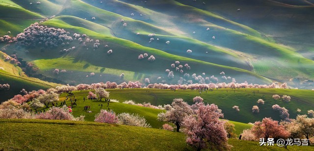 雨水时节，春雨犹添新绿，13首古诗词写意春色乍现之美