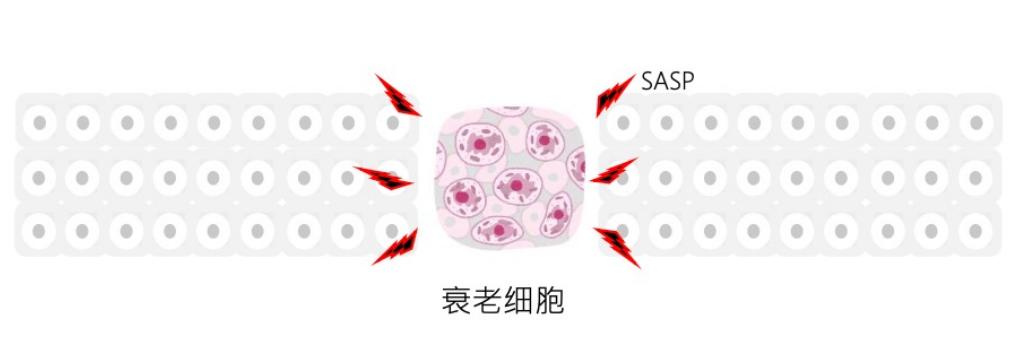 修复敏感肌抗衰老,扎心用什么方法可以缓解