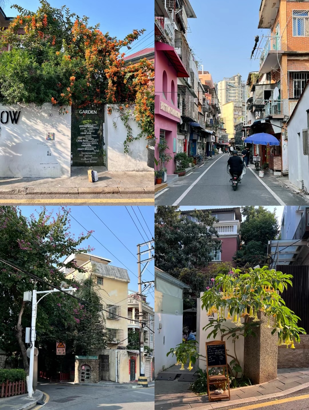 偷偷藏不住厦门取景地集美,偷偷藏不住厦门取景地