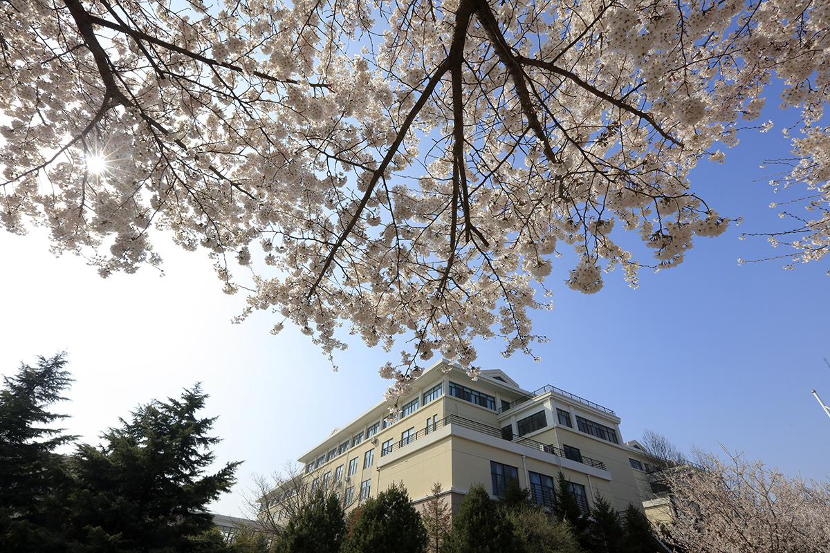 印象中国教育意义,印象海怎么样