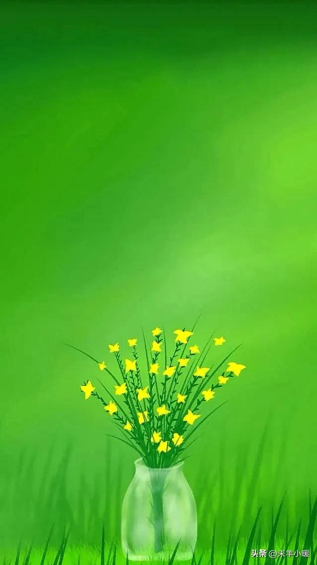 超清超美独一无二手机壁纸图片,养眼养心的壁纸