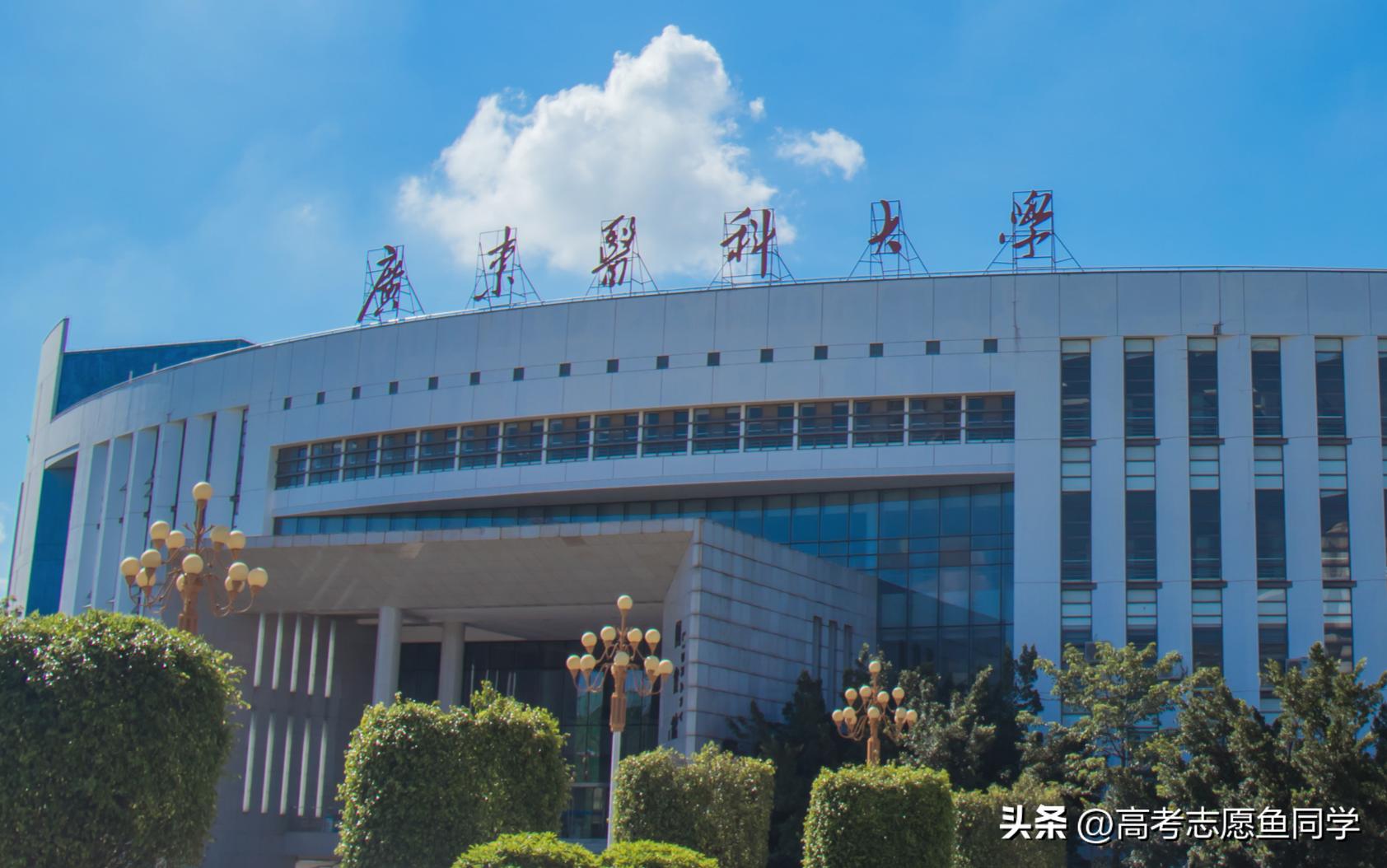 想学医中药的有什么大专院校,学临床医学哪些985大学可以推荐