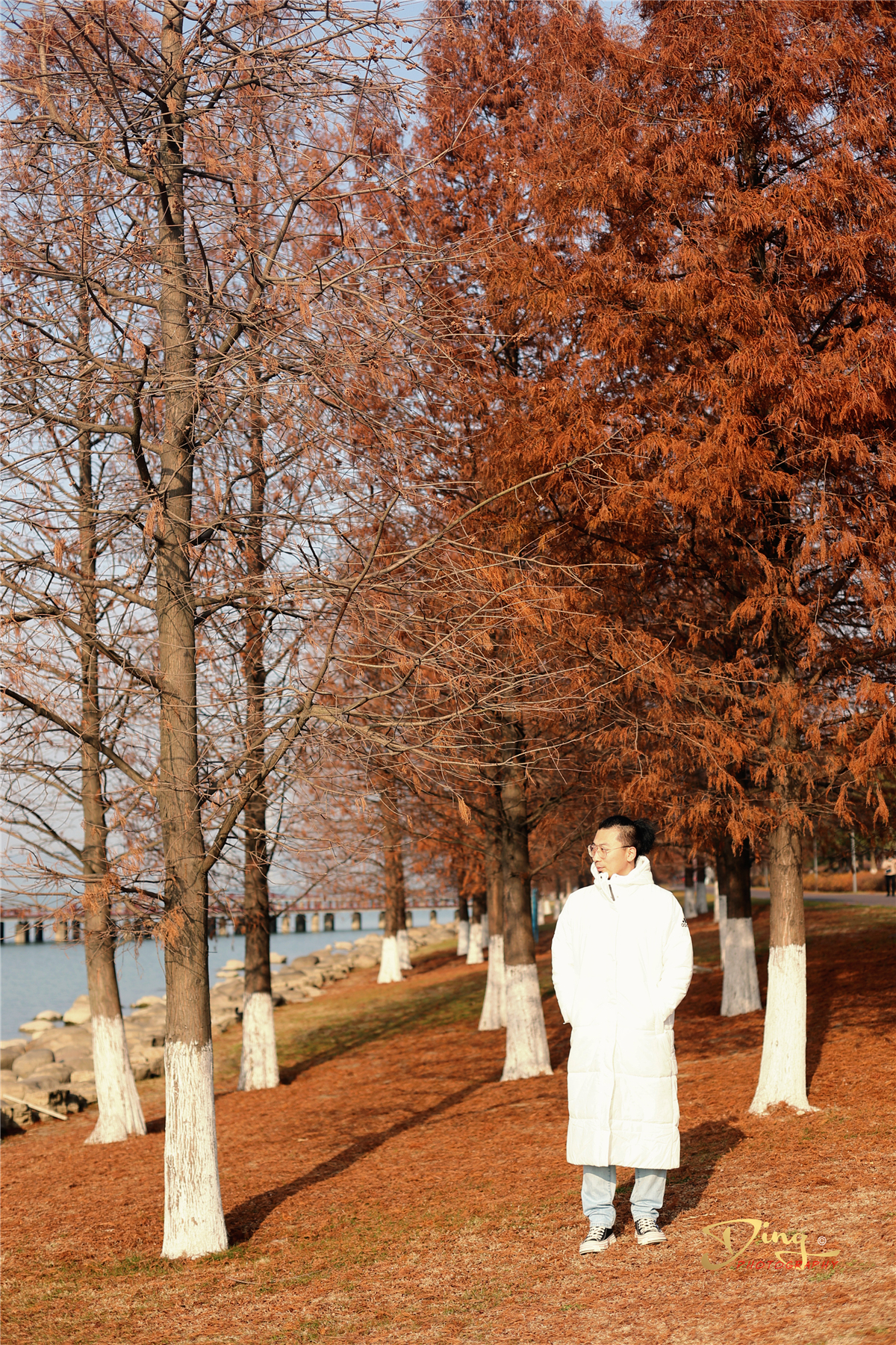 苏州东太湖游玩攻略,春节东太湖旅游攻略