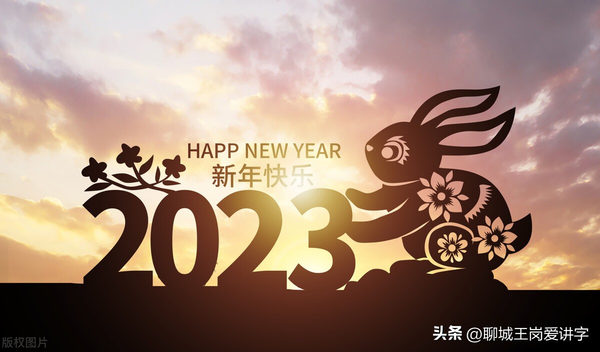 兔年简短对话,兔年互动语言