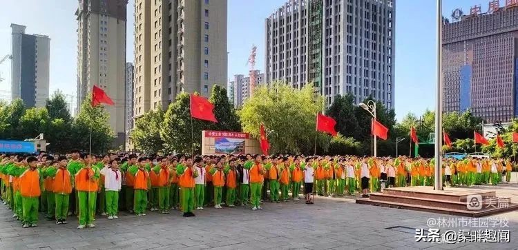 聚焦德育活动促学生全面发展,聚焦入学助力儿童成长公开课