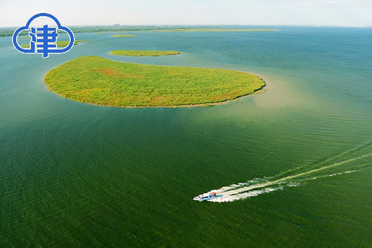 生态环境为主题绘画,生态底色绘美景宜居之城展笑颜