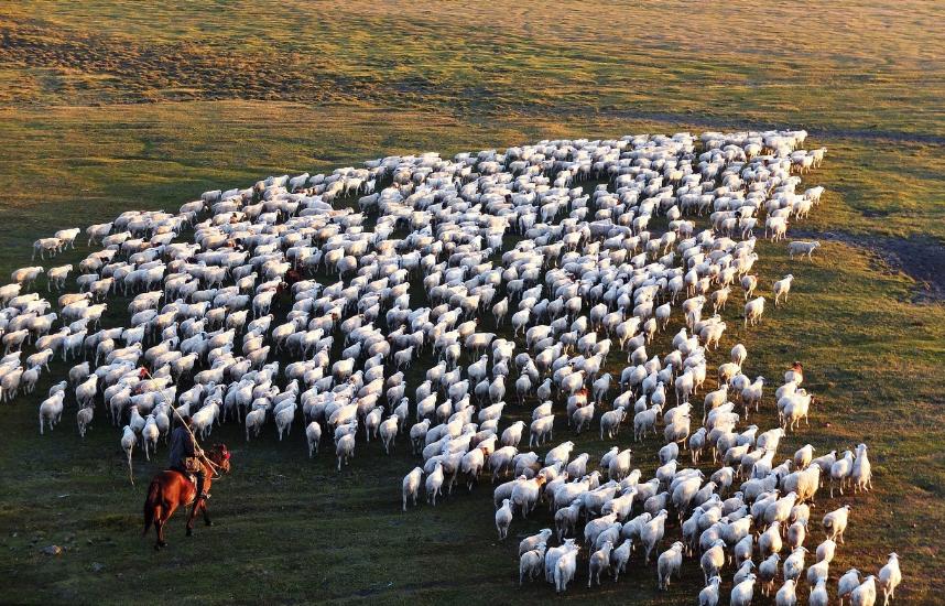 清零到共存，忐忑又期待，2023创业者春天要来了吗