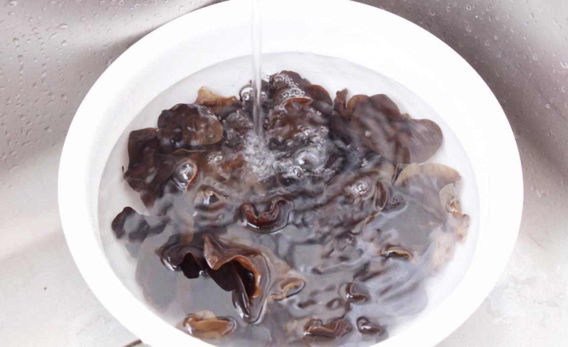 泡发黑木耳多长时间会中毒,黑木耳不能长时间泡辟谣