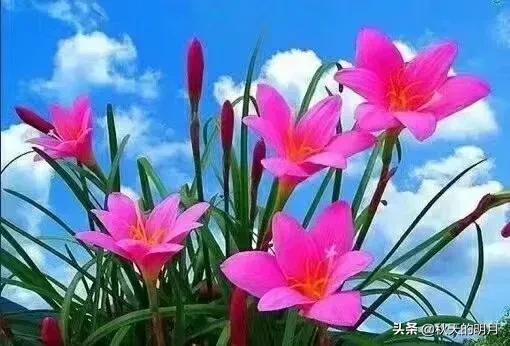 孙女上大学父母该给多少钱,孙子上大学爷爷奶奶不应该给钱吗