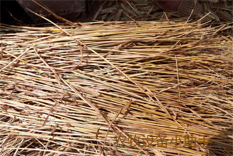 秸秆回收做燃料,秸秆做燃料的优点