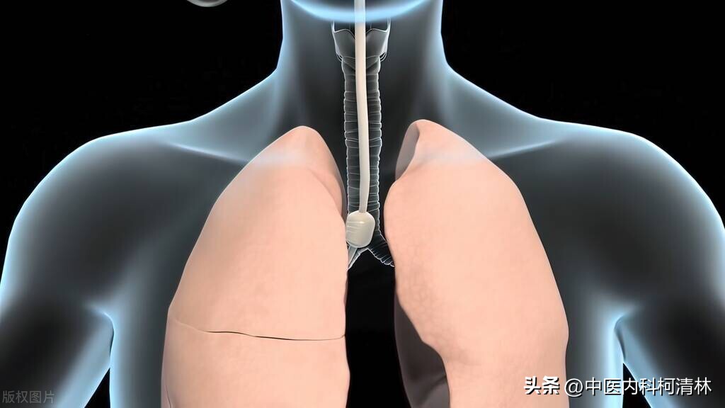 日常生活中避免细菌感染,生活中要注意的传染病