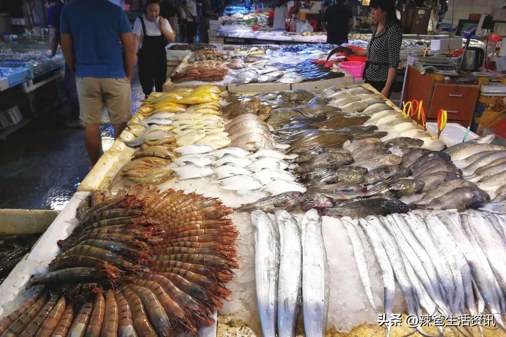 海鱼为什么都是死鱼,内陆为什么买不到活海鱼