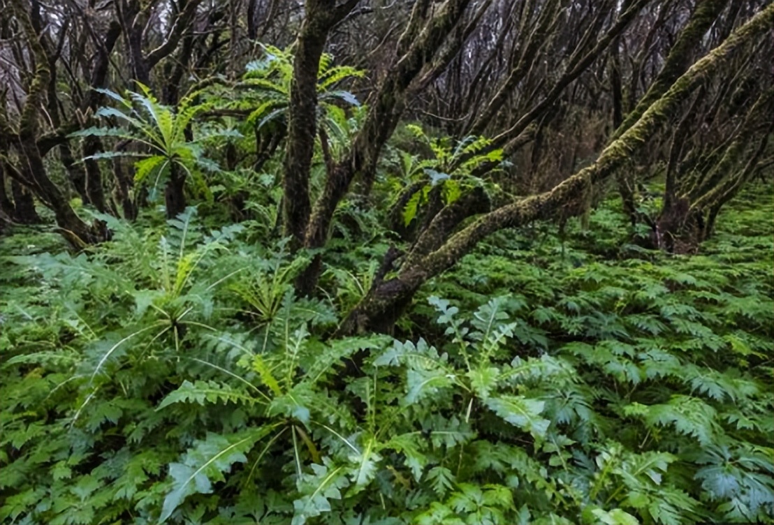 世界第八十二大岛屿——波多黎各波多黎各岛