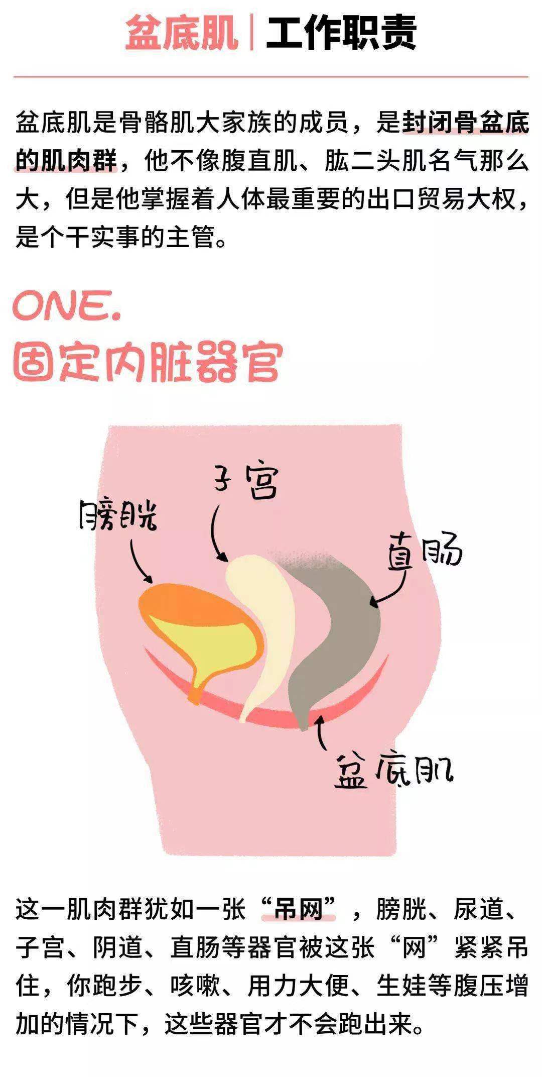 画“厕”为牢——关于女性“漏尿”的那些事