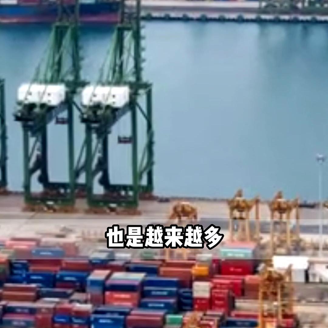 海运费用涨价影响海运公司吗 (海运价格对货代市场的影响)