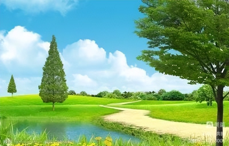 诗词中国135期征稿,诗词中国大赛获奖诗词作品