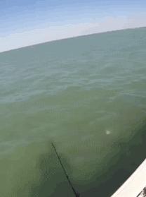 开心一刻一招制敌,开心一刻幽默语句