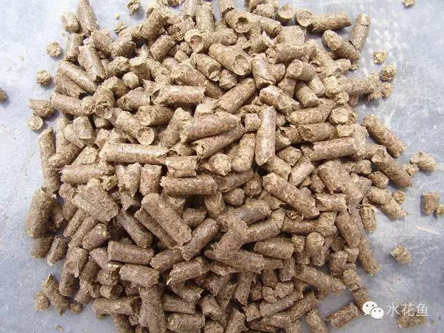 饲料鱼和粮食鱼谁优谁劣？——简析改善养殖鱼的肉质和味道