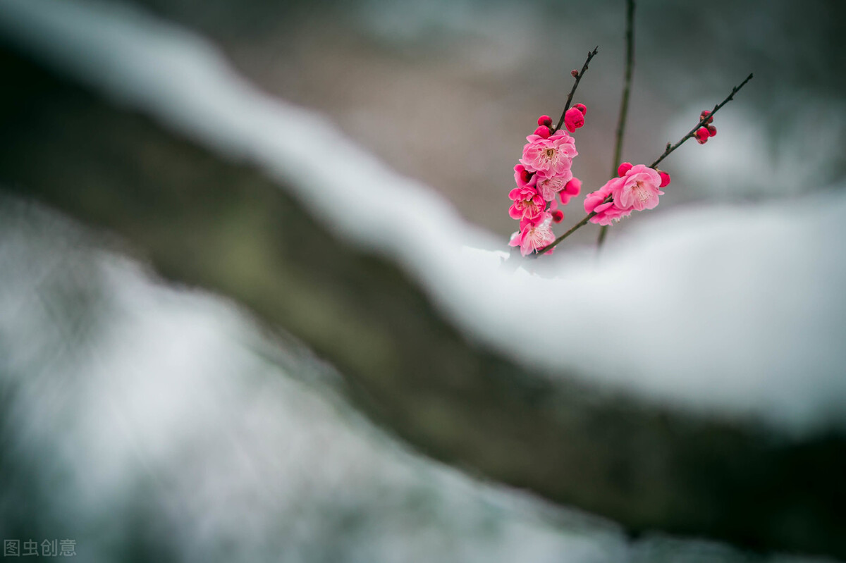 老了老伴走了剩下一个人怎么办,如果老伴走了你要做好四件事