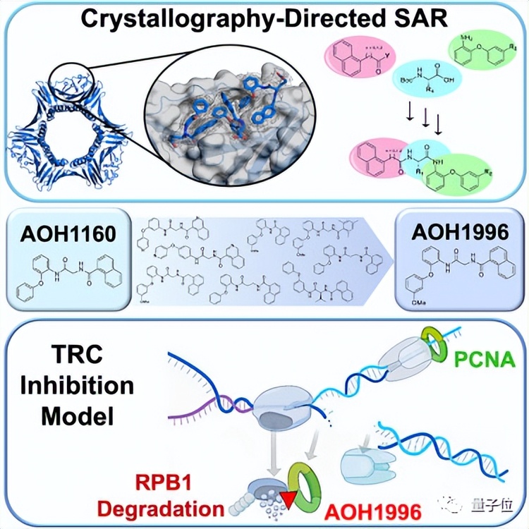 对抗癌症药物的研究,一个药可以预防所有癌症