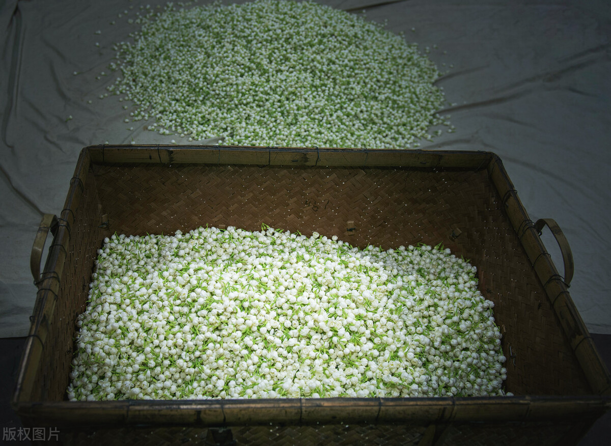 从丝绸之路传来中国的东西,丝绸之路上从西域进入中原的物品