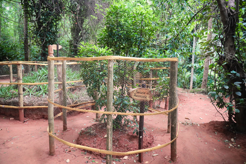 斯里兰卡旅游攻略必去景点,斯里兰卡旅游攻略最佳时间