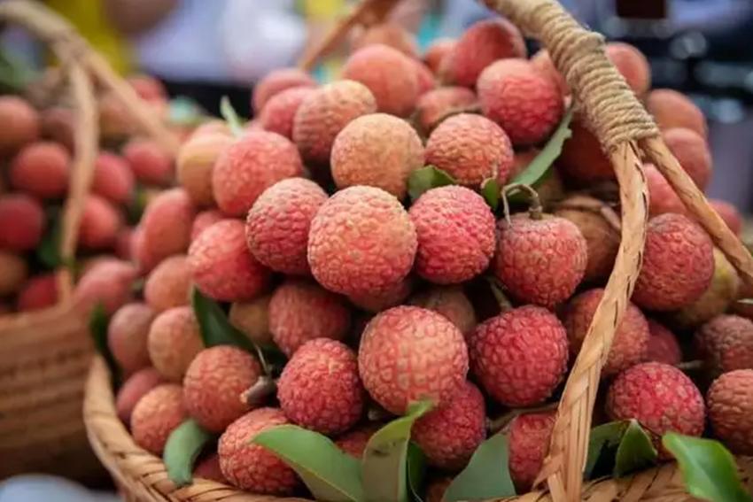 杨玉环特殊怪癖你知道吗,杨玉环的两大缺陷