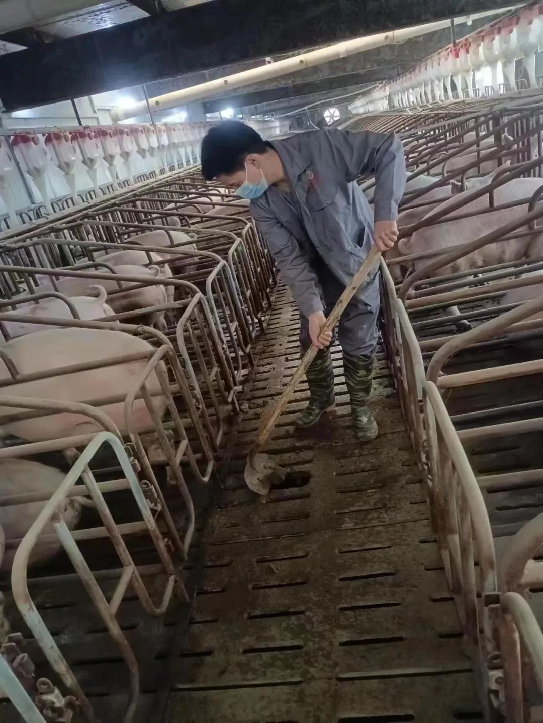 农业期货保险新模式,农民怎么参与保险期货模式