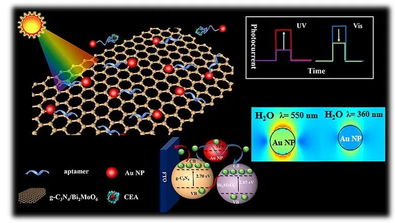 吸光度测定实验数据记录表,吸收系数的测定实验