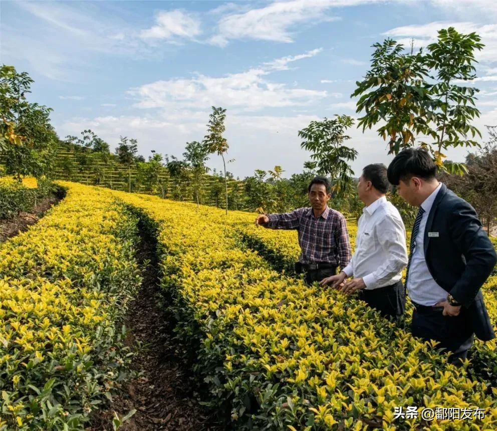 快马扬鞭自奋蹄深耕细作守初心——鄱阳恒通村镇银行八年普惠路纪实